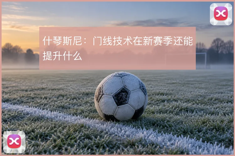 什琴斯尼：门线技术在新赛季还能提升什么